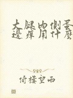 大腿内侧蛋蛋旁边痒用什么药膏