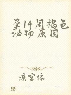 孕14周褐色分泌物原因