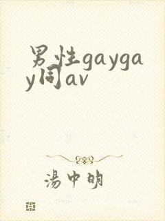 男性gaygay同av