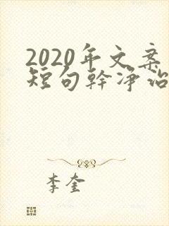 2020年文案短句干净治愈
