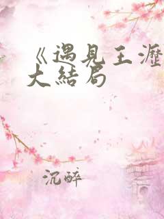 《遇见王沥川》大结局