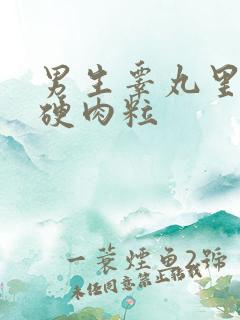 男生睾丸里面有硬肉粒