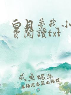 白日梦我小说免费阅读txt