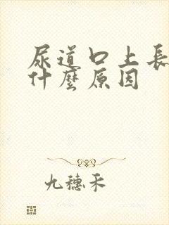 尿道口上长疙瘩什么原因