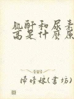 肌酐和尿素氮都高是什么原因