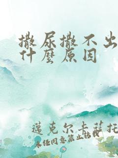 撒尿撒不出来是什么原因