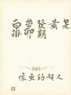 白带发黄是不是排卵期