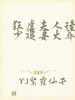 狂虐夫人后,顾少追妻火葬场