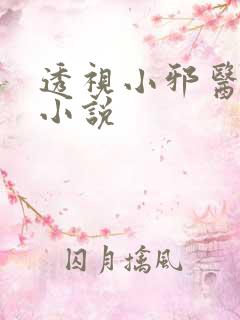 透视小邪医无极小说