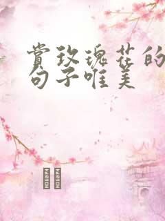 赏玫瑰花的心情句子唯美