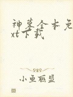 神墓全本免费txt下载