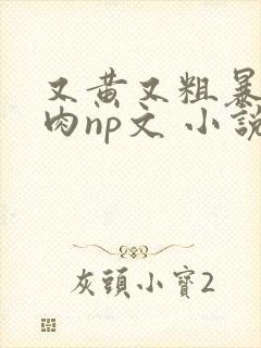 又黄又粗暴的纯肉np文 小说