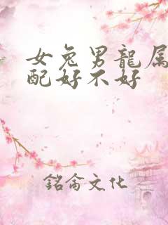 女兔男龙属相婚配好不好