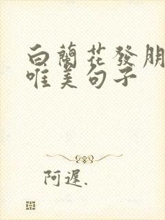 白兰花发朋友圈唯美句子