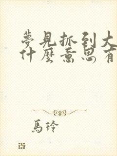 梦见抓到大鱼是什么意思有什么预兆