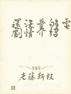 还没爱够电视剧剧情介绍