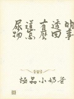 尿道有透明分泌物怎么回事