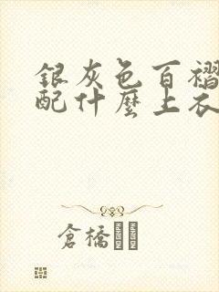 银灰色百褶长裙配什么上衣