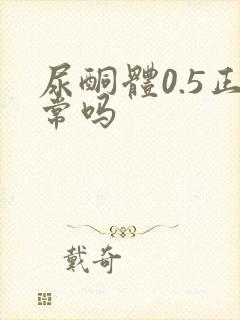 尿酮体0.5正常吗