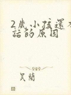 2岁小孩还不说话的原因