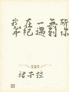 我在一无所有的年纪遇到你是什么歌