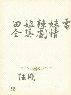 田姐辣妹电视剧全集剧情