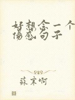 好想念一个人的伤感句子