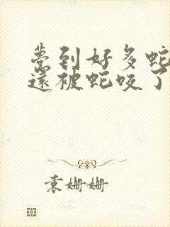 梦到好多蛇自己还被蛇咬了什么预兆