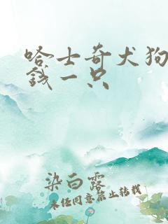 哈士奇犬狗多少钱一只