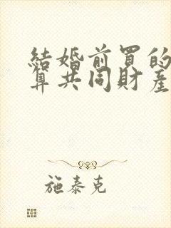 结婚前买的房子算共同财产吗