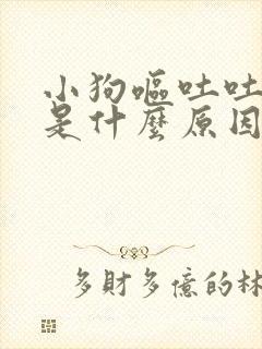 小狗呕吐吐白沫是什么原因