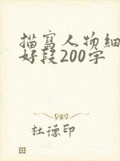 描写人物细节的好段200字