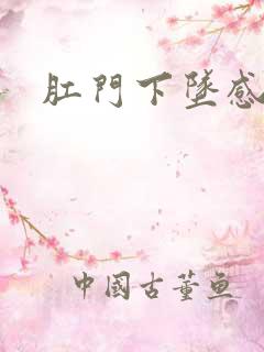 肛门下坠感疼痛