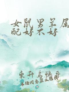 女鼠男羊属相婚配好不好