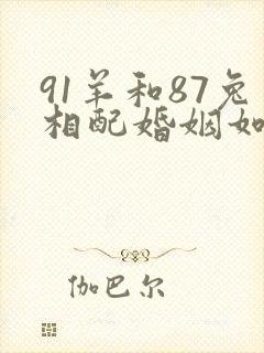 91羊和87兔相配婚姻如何