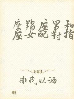 摩羯座男和处女座女配对指数是多少