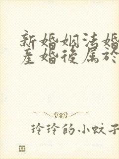 新婚姻法婚前财产婚后属于共同财产吗