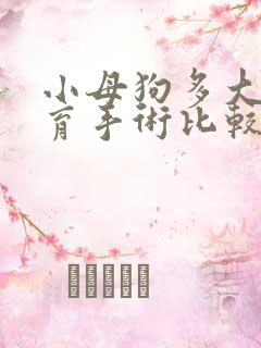 小母狗多大做绝育手术比较好