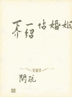 下一站婚姻剧情介绍