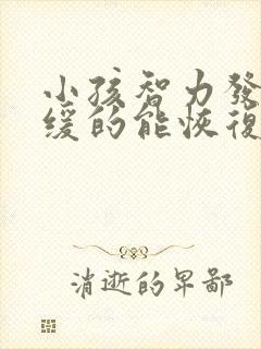 小孩智力发育迟缓的能恢复正常吗