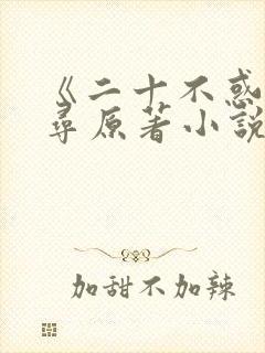 《二十不惑》周寻原著小说