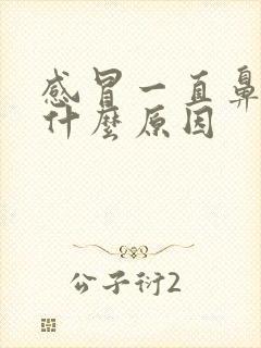 感冒一直鼻塞是什么原因