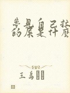 梦见自己拉黄色的屎是什么预兆