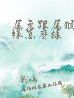 属兔跟属猴的姻缘怎么样