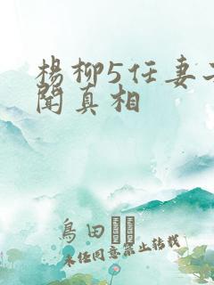 杨柳5任妻子传闻真相