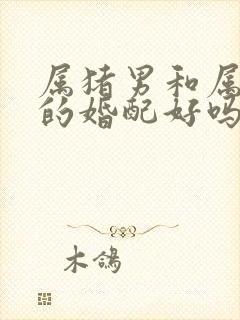 属猪男和属牛女的婚配好吗