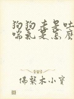 狗狗老是吐舌头喘气是怎么回事