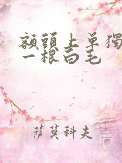 额头上单独长了一根白毛