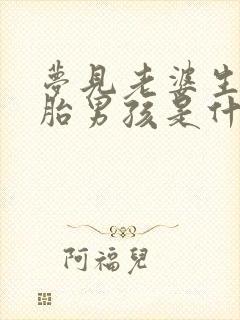 梦见老婆生双胞胎男孩是什么意思