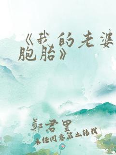 《我的老婆是双胞胎》